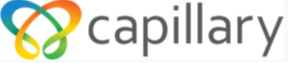 Capillary Technologies India Ltd
