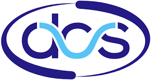 Datasoft Computer Services IPO Logo
