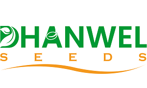 Dhanwel Hybrid Seeds IPO Details, DRHP Status, Price, Analysis