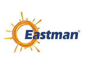 Eastman Auto & Power IPO Details, DRHP Status, Price, Analysis