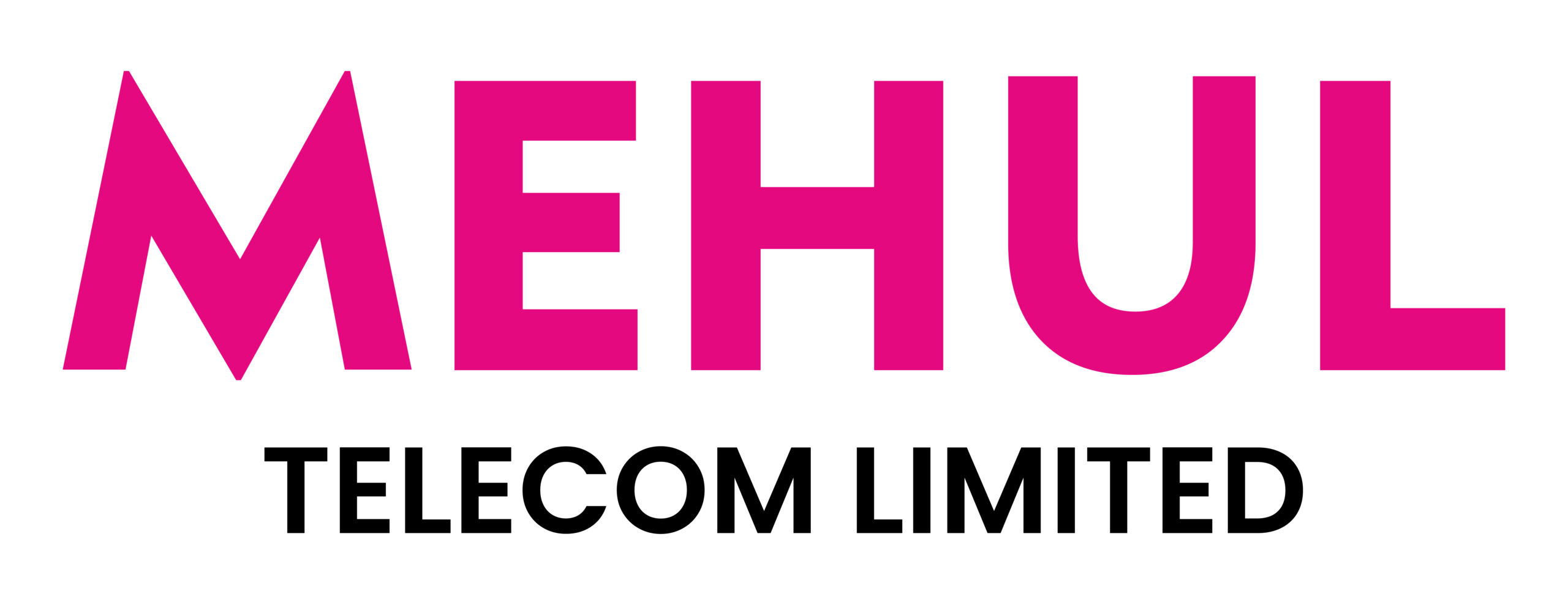 Mehul Telecom Ltd