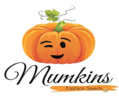 Navjeet India IPO Logo