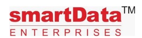 Smartdata Enterprises (India)